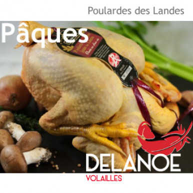 Poularde des Landes de Pâques