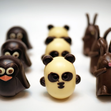 Pingouins et Pandas... Nouveaux venus....